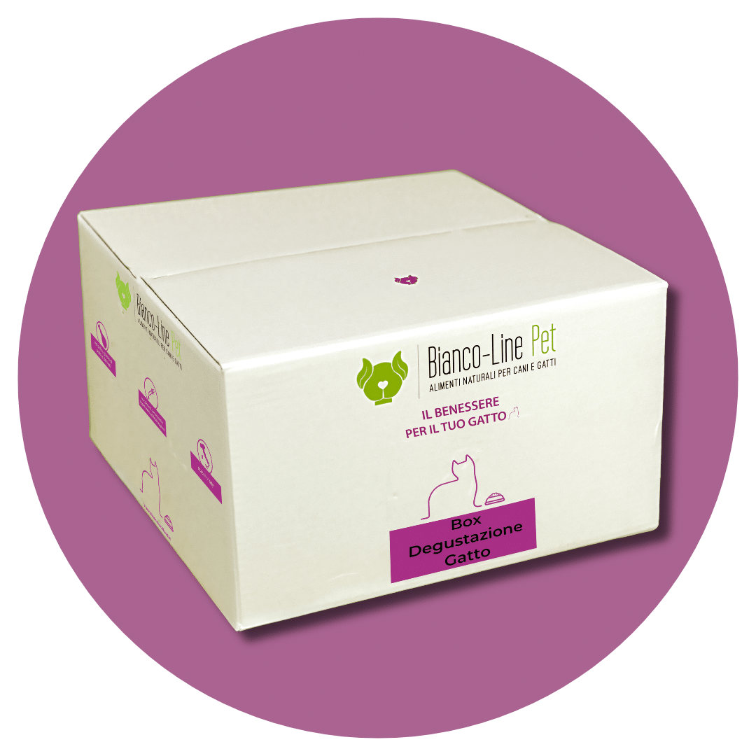 Box Degustazione Gatto