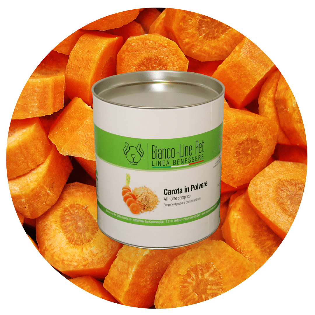 Carota disidratata