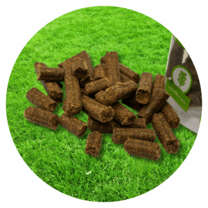 Snack Agnello