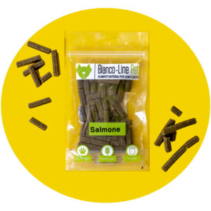 Snack Salmone