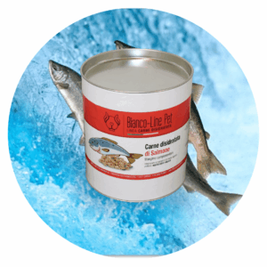Carne disidratata di salmone