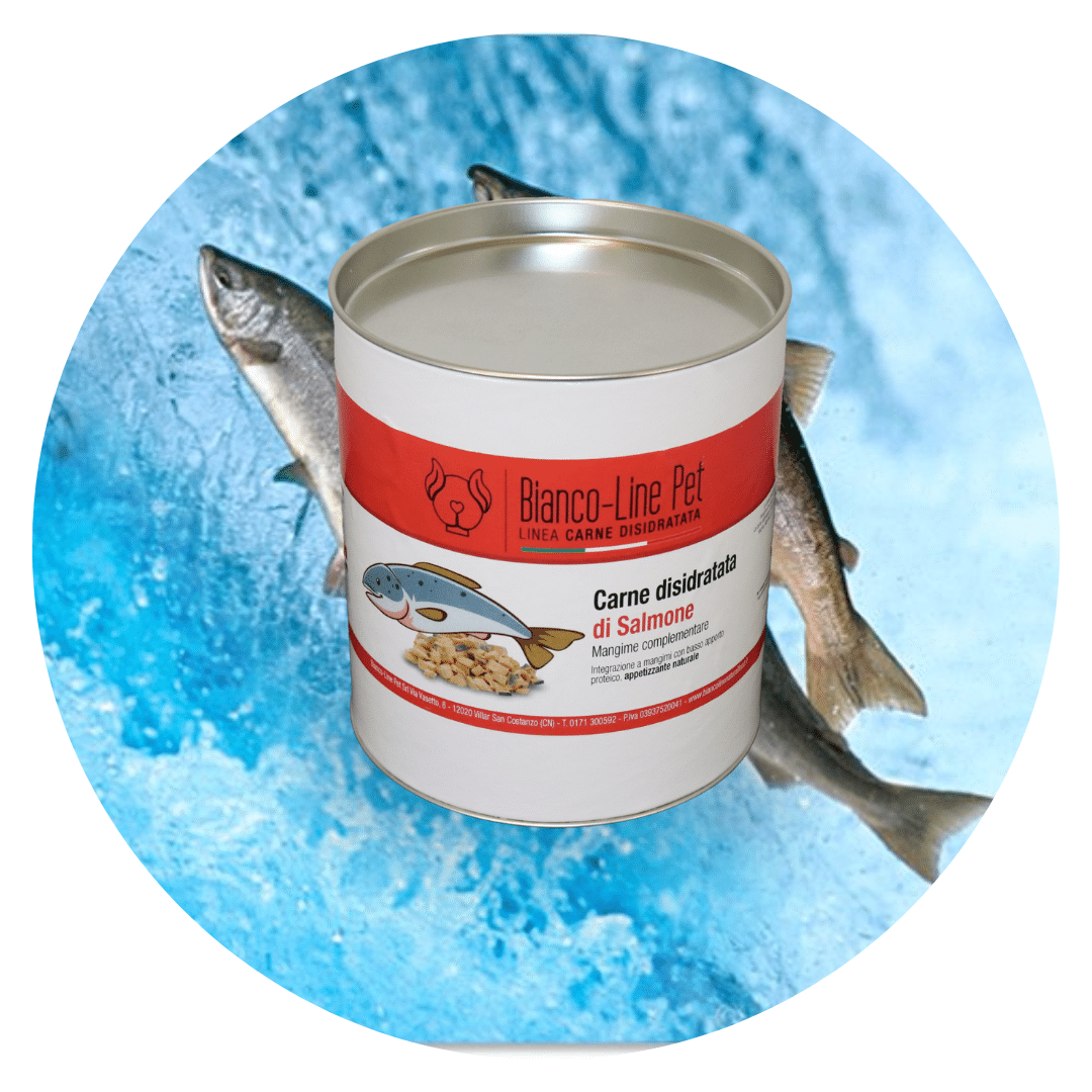 Carne disidratata di salmone