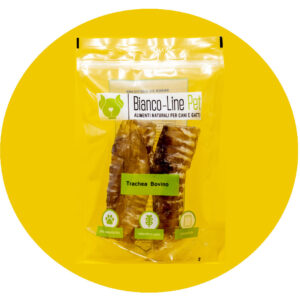 Trachea bovina