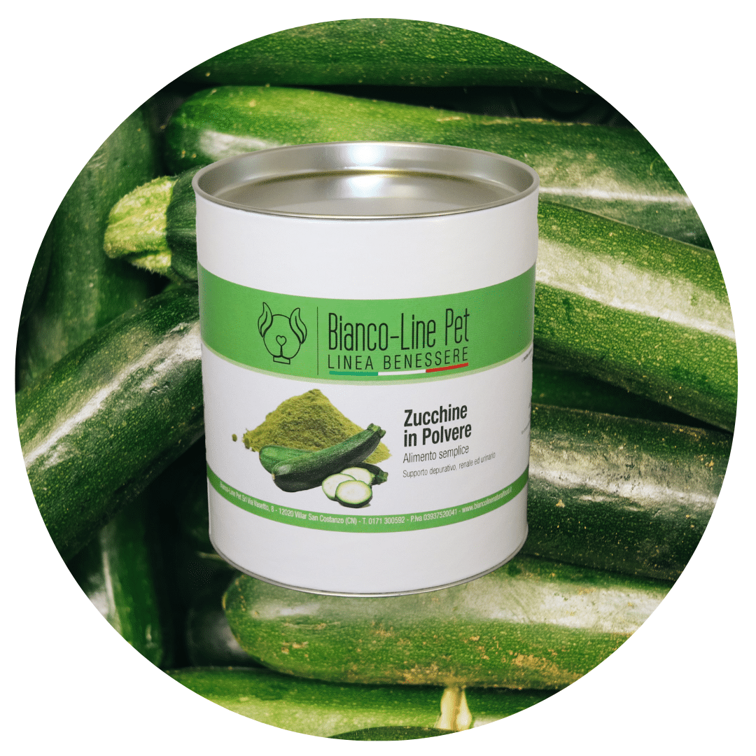 Zucchine disidratate