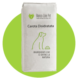 Carota disidratata