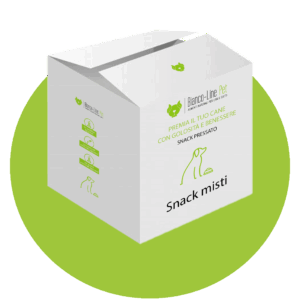 Snack misti