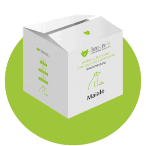 Snack Maiale
