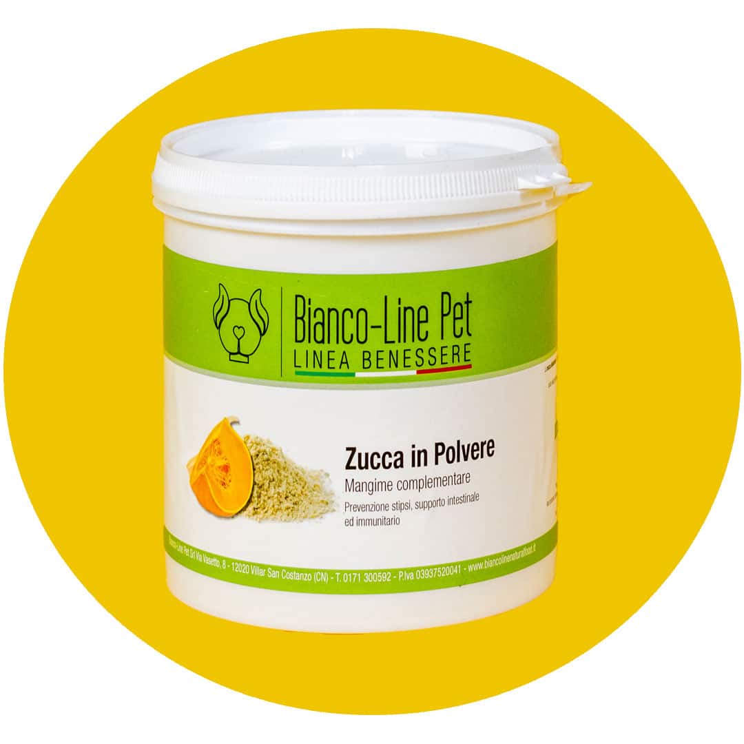 Zucca disidratata per cani